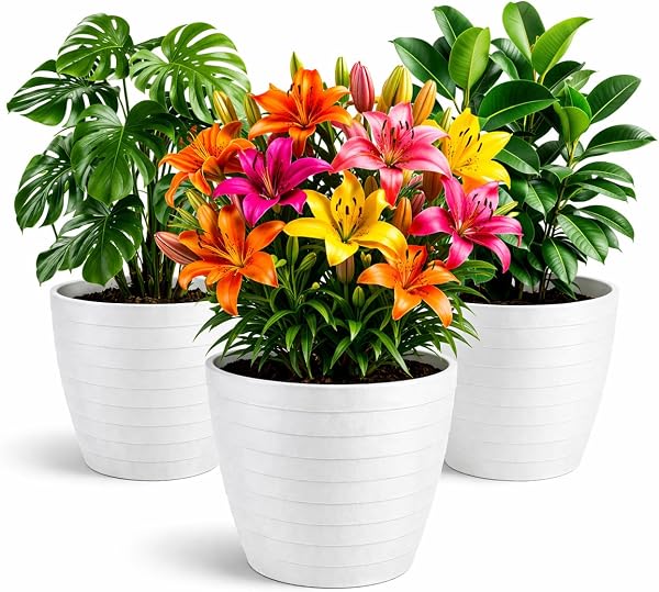 Maceteros Decorativos Interior y Maceteros Grandes Exterior - 3X Macetas Grandes Blanco Elegante (30 cm) Macetas Plastico con Drenaje - Tiestos para Plantas, Jardín, Terraza y Balcón - 1