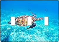 Vista 60 de Baby Turtle - Cubierta decorativa de pared para interruptor de luz de palanca de 1 banda, lindas tortugas subacuáticas, placa frontal eléctrica