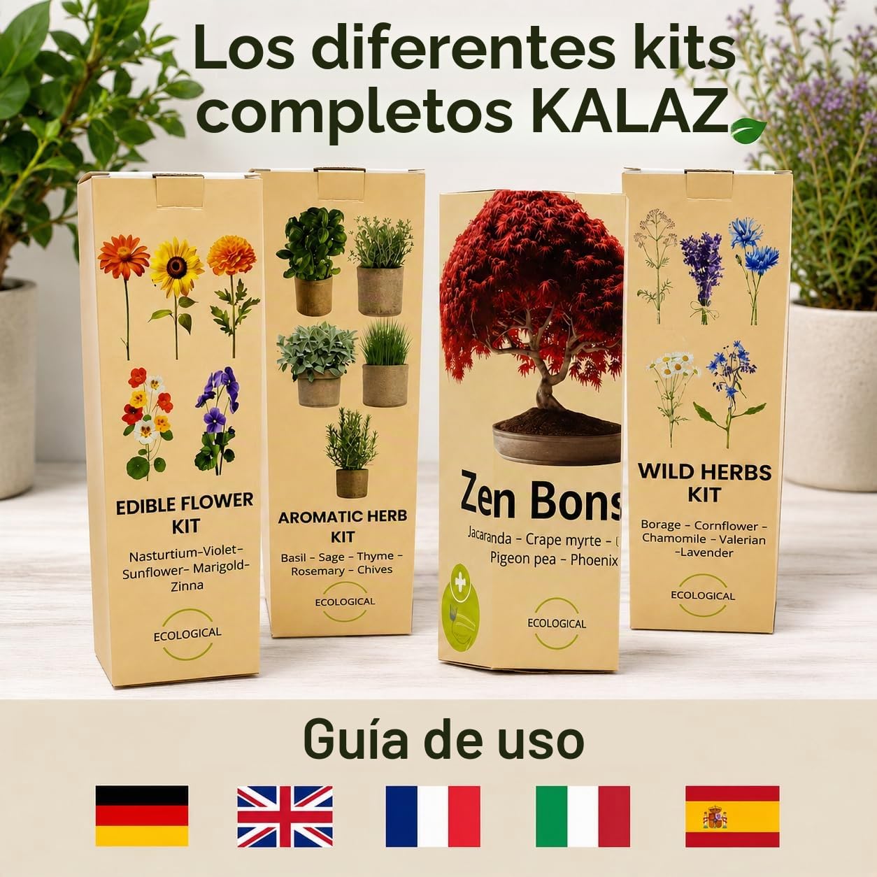 Kit Bonsai Completo de Inicio – Decoración de Madera Interior – 5 Plantas Naturales – Semillas japonesas – Herramientas & Tijeras – Regalo para Mujer y Hombre – Caja Original para la Madre