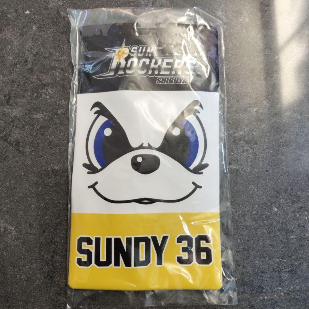 正木智也 直筆サイン入りmini色紙 福岡ソフトバンクホークス15枚限定 K