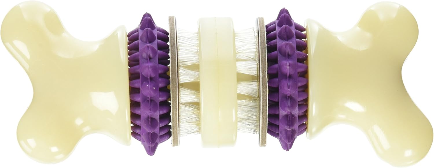 PetSafe Busy Buddy Bristle Bone Treat Holding Toy with