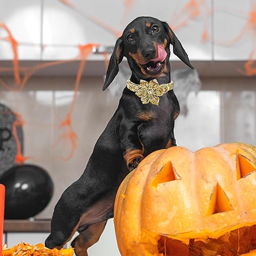 Miniatura 4 de Lionheart Glory Collares de Halloween para perros, collar de calavera con patrón de flores ajustables para perros pequeños y cachorros