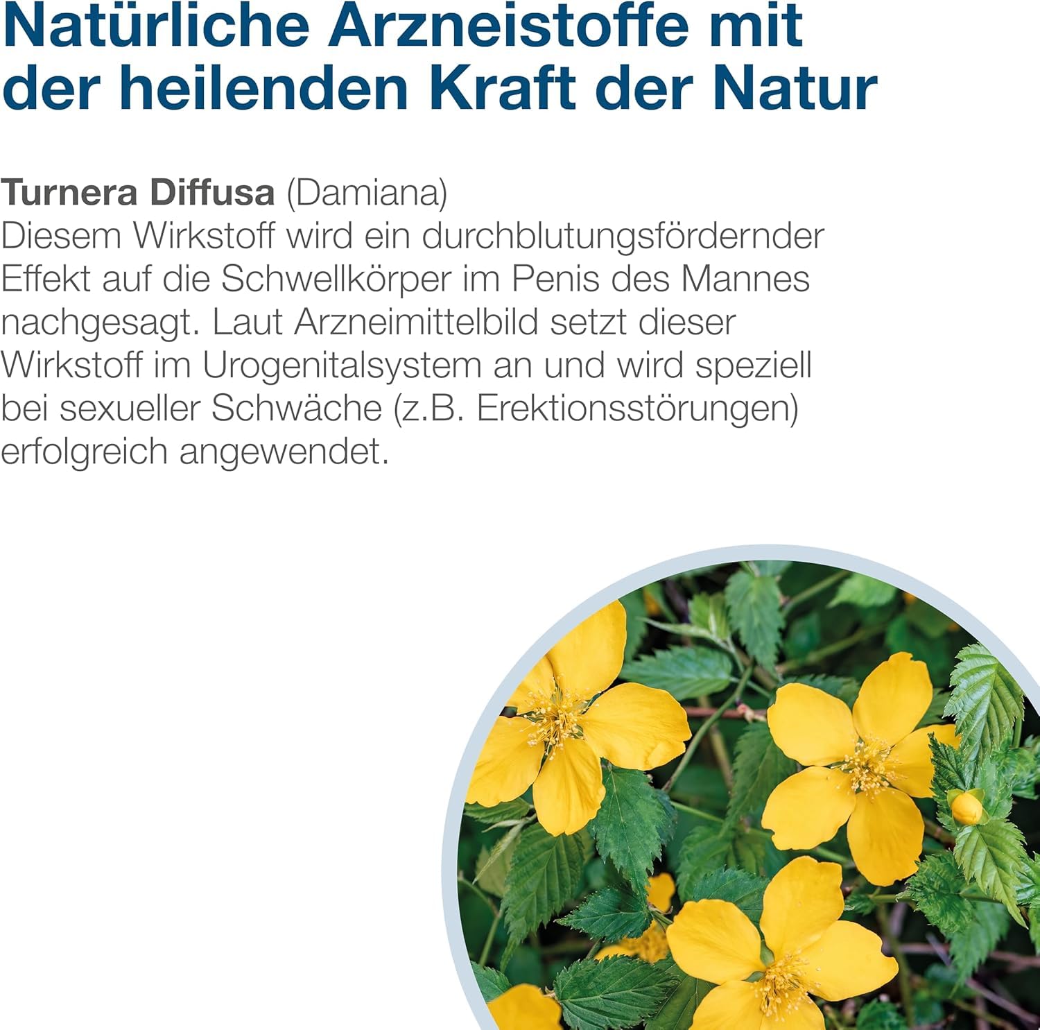 Neradin Tabletten - Potenzmittel für den Mann mit Damiana: Rezeptfreies Arzneimittel bei sexueller Schwäche wie z.B. Erektionsstörungen - Testosteron-Booster für spontanen Sex - 40 Tabletten