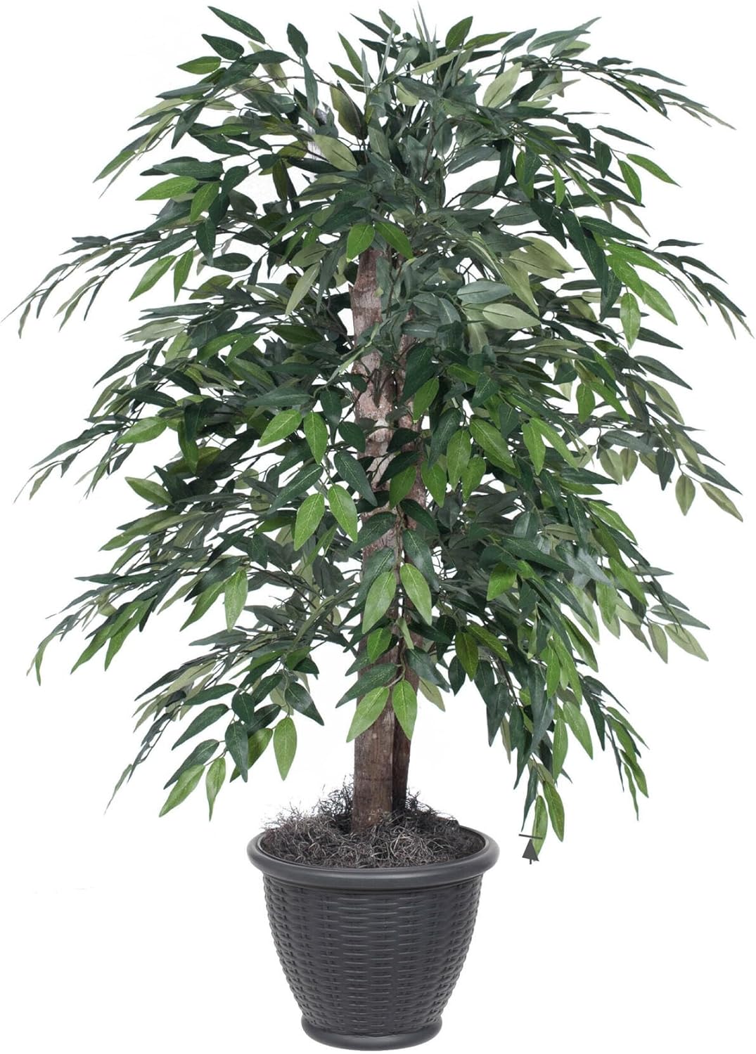 Vickerman Everyday 4' Artificial Green Smilax Bush in a Black Plastic Pot - Lifelike Home Office Decor - Faux Indoor Potted Bush