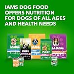 IAMS Proactive Health Aliments pour chiens mouillés adultes – Agneau & Riz – Terrain classique – 369G Peut (13 (12 Boîte)