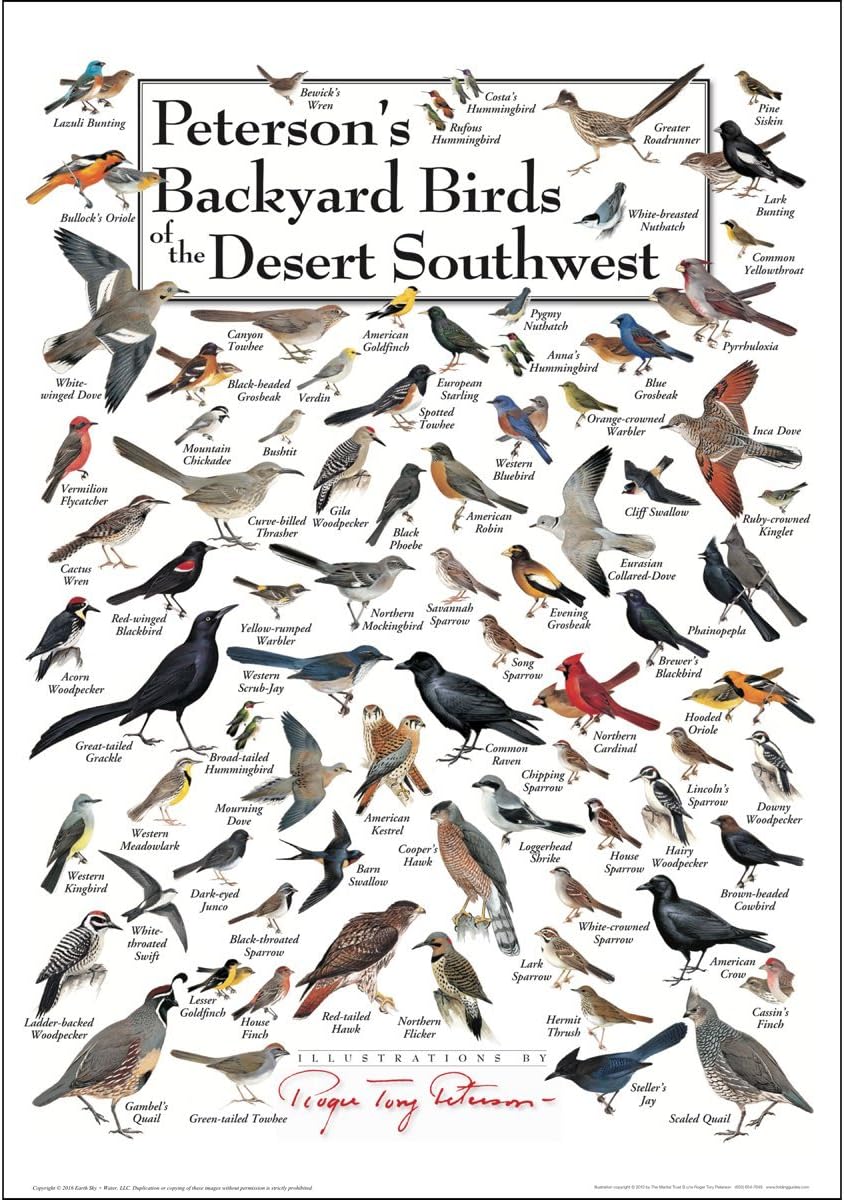 Earth Sky + Water Peterson’s Backyard Birds of the Desert