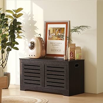 Amazon.com: DINZI LVJ Storage Chest, Flip-Top Wooden Toy Box with