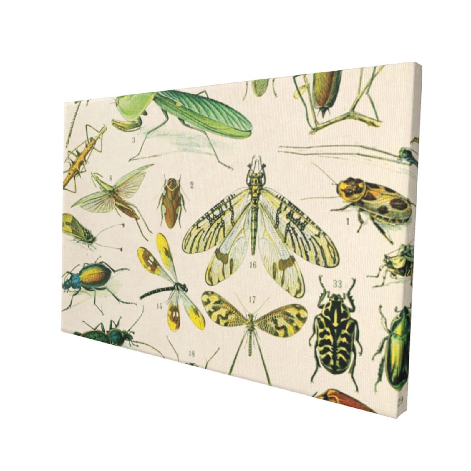 Amazon.co.jp: アートパネル 昆虫柄 イラスト 虫柄 壁掛けアート