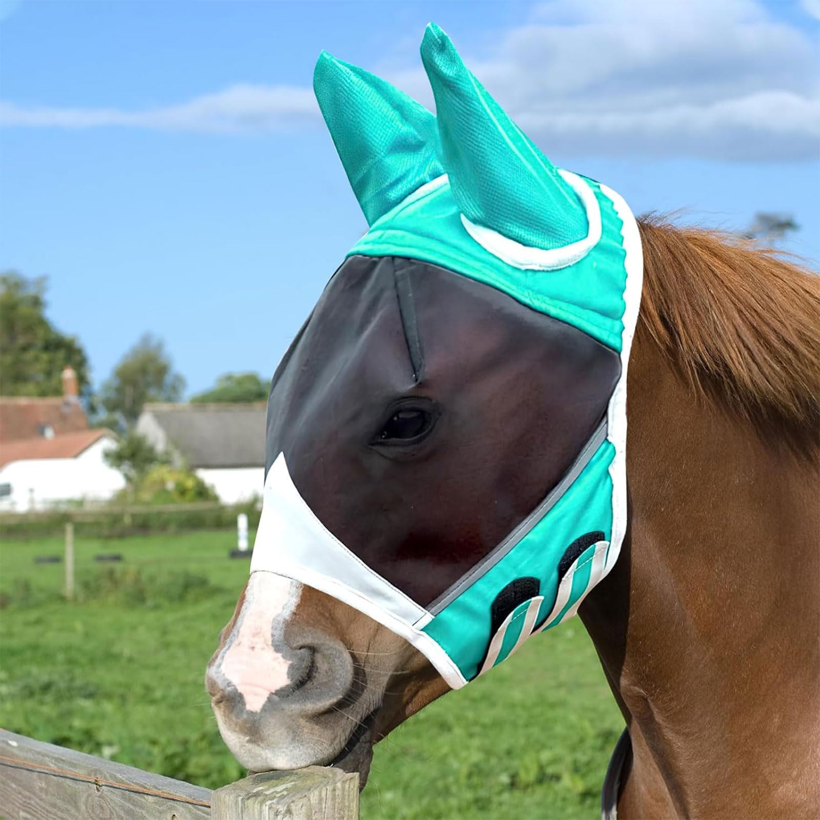 Horse Fly Mask, Adjustable Fly Masks for Horses Elasticity Omfortable Big Eye Distance Mosquito Proof (L)