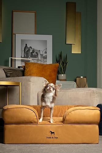 Miniatura 3 de NOAH & PAW Cama para perro, 28 x 23 x 11 pulgadas, camas ortopédicas para perros para mascotas de tamaño mediano, espuma viscoelástica de cáscara de