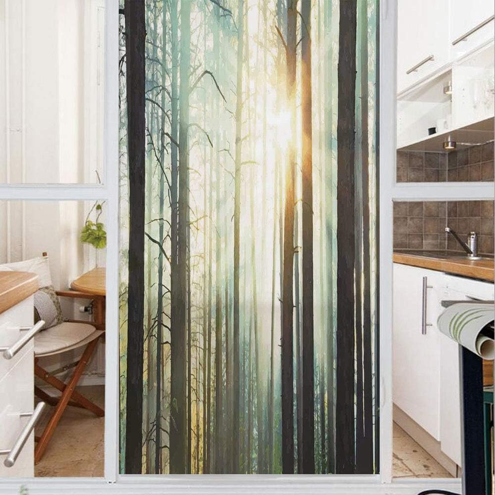 Decorative Window Film,No Glue Frosted Privacy Film,Stained Glass Door Film,Fairy Foggy Forest Mist in the Woods Enchanted Wilderness with Sunbeams Image Decorative,for Home & Office,23.6In. by 78.7In