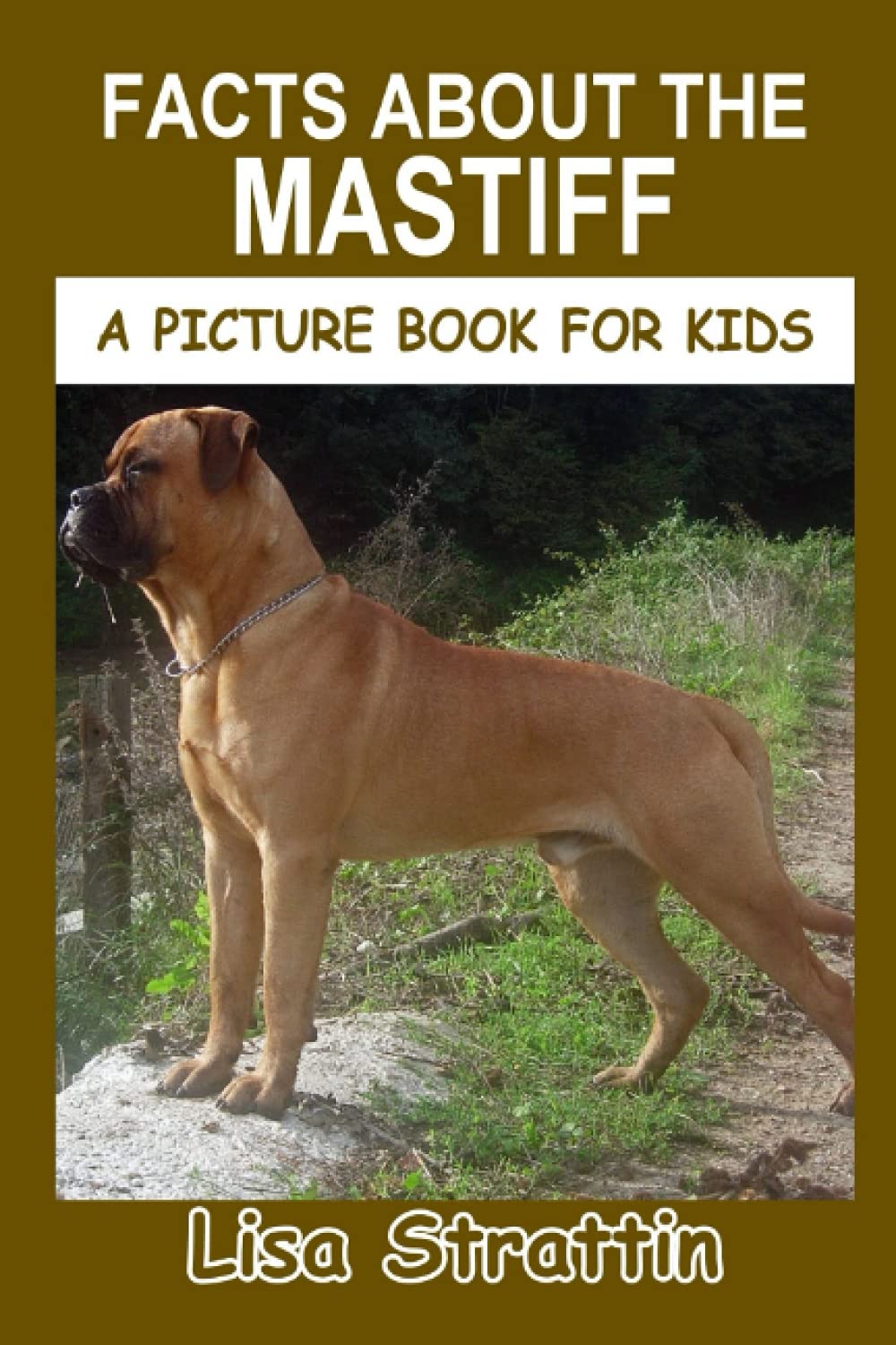 Facts About the Mastiff (A Picture Book For Kids)