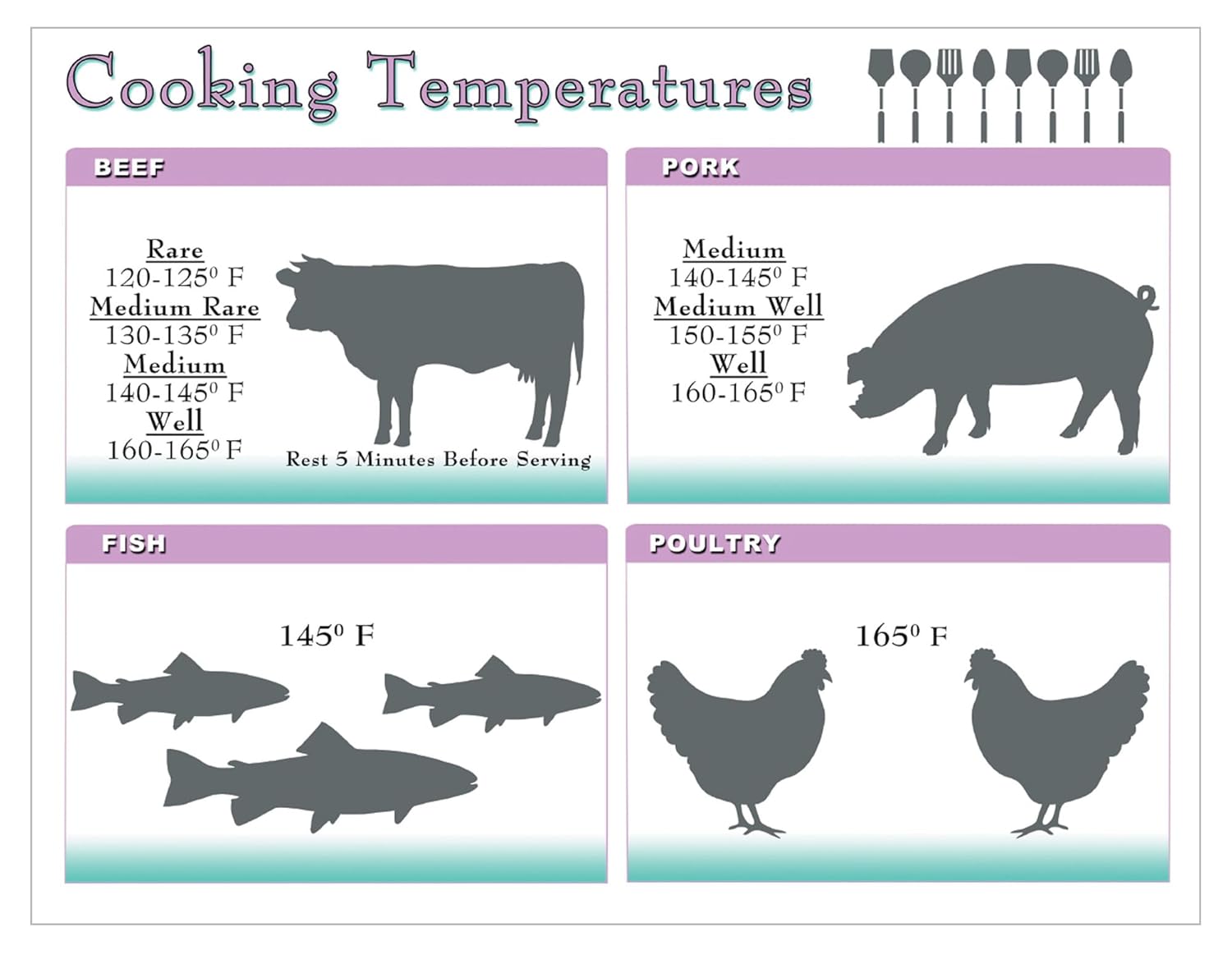 Best Kitchen Tool - Measurement Conversion & Cooking Temp Chart review