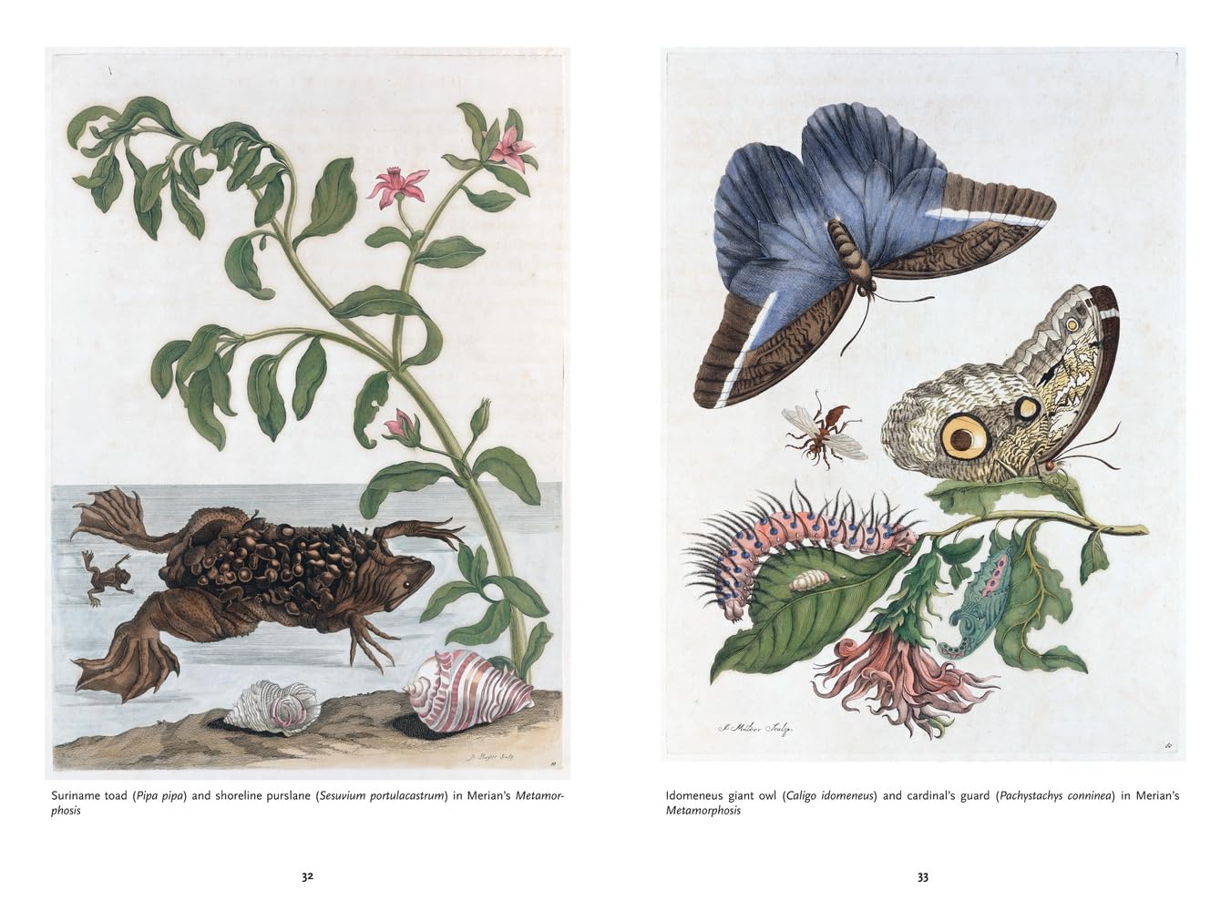 The Art of Biodiversity: Artists & Naturalists, 1700–1900      Hardcover – April 14, 2026