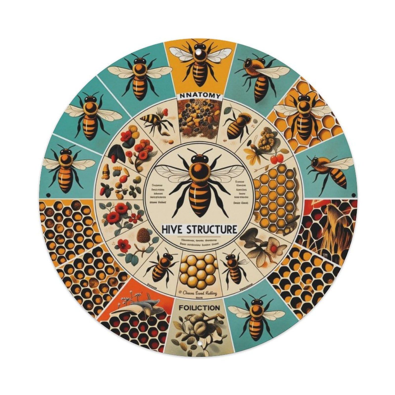 Bee Hive Structure Anatomy Vintage Round Sign Vintage Aluminium Metal Sign, Retro Wall Decor for Home, Bar, Garage & Farmhouse 20x20cm