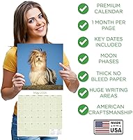 Vista 1381 de Razas de Perros 2017