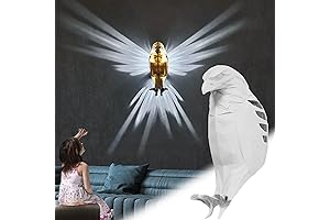 3D Eagle Wall Lamp, 3D Night Light, Home Decoration Lamp