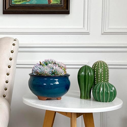 Miniatura 26 de Maceta redonda de terracota esmaltada de 8 pulgadas para suculentas, maceta redonda de cerámica con drenaje y platillo, maceta de arcilla de cactus