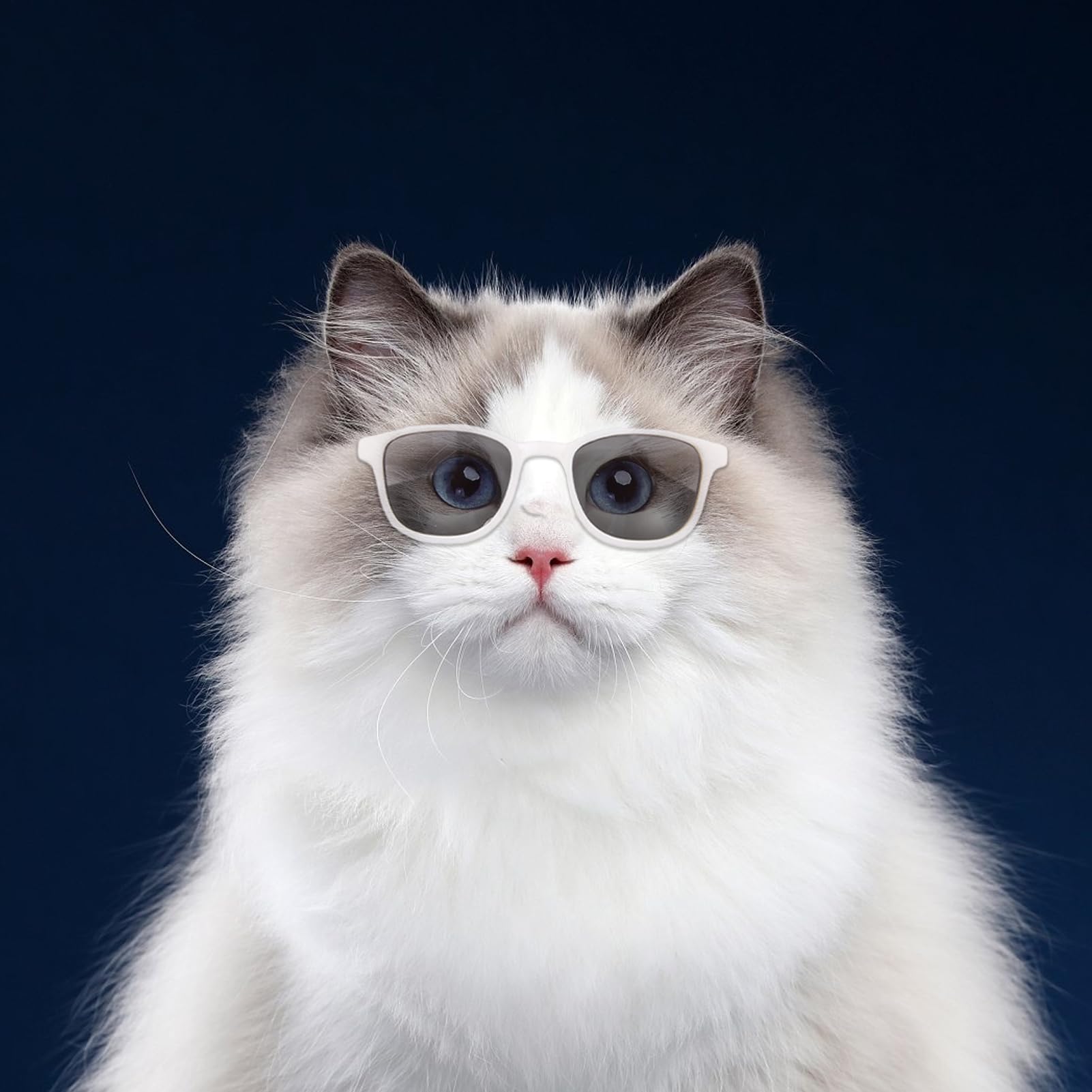 Occhiali per piccoli animali domestici, occhiali per gatti, occhiali per animali domestici, protezione UV, antivento, costumi per feste all'aperto, viaggi e feste cosplay