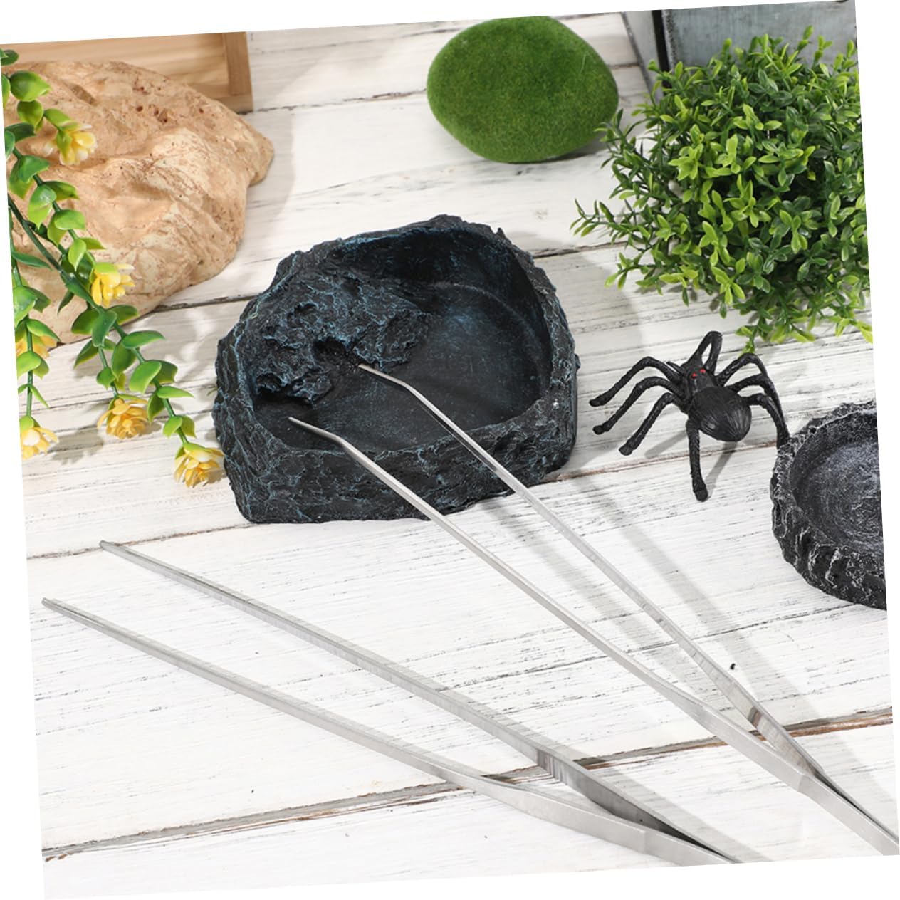 Milisten 1set Reptile Feeding Bowl Includes Tortoise Water Dish Snake Food Bowl and Feeding Tongs for Bearded Dragons Snakes and Other Terrarium Pets