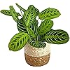 Product Photo 1