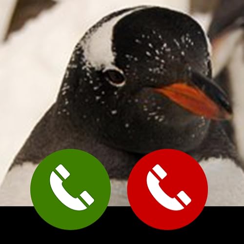 Fake call from Penguin cute