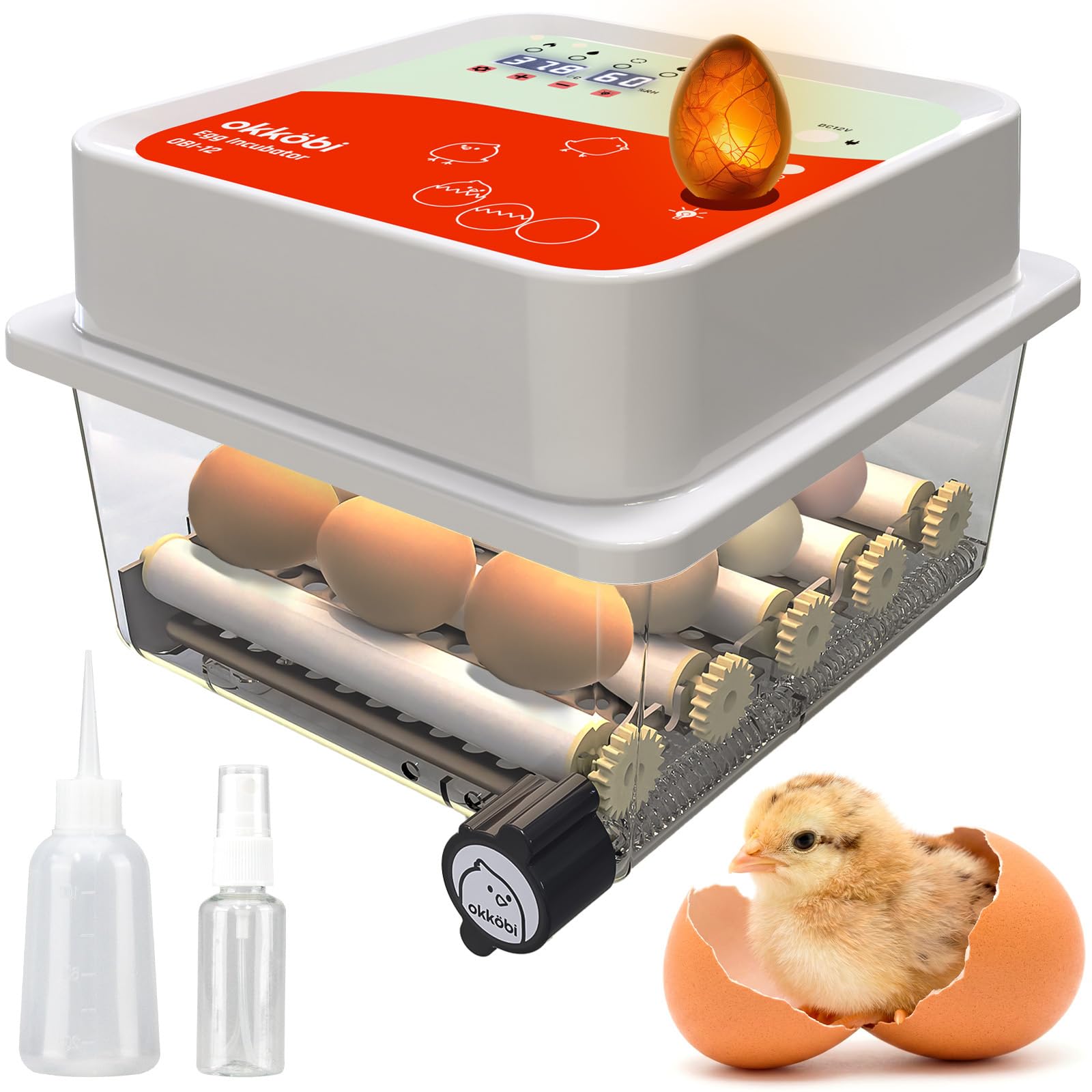 OBI-12 Couveuse Automatique – Incubateur à œufs pour 12 œufs avec Retournement Automatique - Couveuse Poule pour œufs de Poule, Caille et Canard - Orange