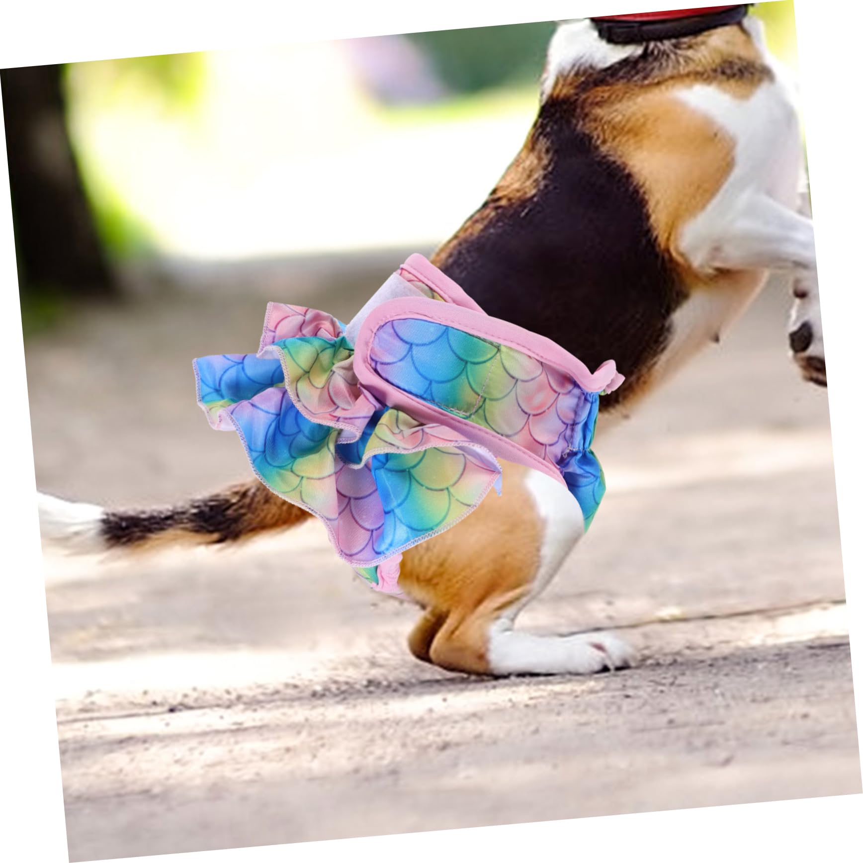 YARNOW 4piezas Absorbentes Reutilizables para Perros Pantalones Sanitarios Decorativos para Hembras para Perros Celo y Recuperación Material Transpirable y Cómodo Estilo