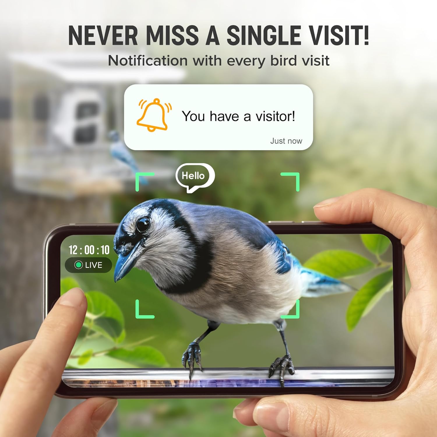 Smart Bird Feeder with Camera – XL Sliding Feed Tray for Effortless Refill – AI Birds ID – 3MEGAPIXEL Images – Video Feeder – Solar-Roof for Bird Lovers