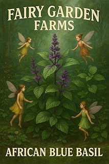 2 Pack Live African Blue Basil Plants, Aromatic Herb, 3-Inch Pots, Smell...