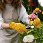 OZERO Gants de jardinage, Flex Grip, EN388 2143X et EN420 Niveau de déxtérité 5 | 1.2mm Cuir de vache, Flexible Fit, Respirant Non doublé, Cristal élastique, Pouce à clés, Lavable, Travail à la maison, Agriculture