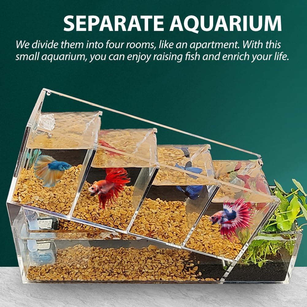 Set per Principianti Acquario/Acquario Betta, Inclusi 4 Scomparti Individuali per Pesci Betta, Filtro,Moderno Acquario per Pesci Rossi in Acrilico Trasparente Fai-da-Te,Elegante Acquario