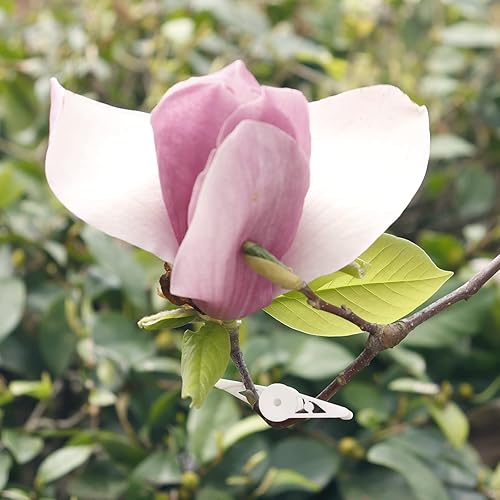 Miniatura 8 de YBB 60 clips ajustables de 360 grados, clips de entrenamiento de tallo para entrenamiento de bajo estrés (verde + blanco)