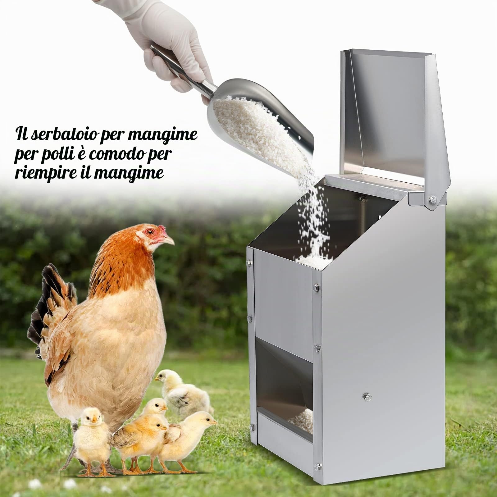 10L Alimentatore Per Polli In Acciaio Inox Senza Sprechi Alimentatore Automatico per Pollame con Coperchio Alimentatore da Parete Resistente Alle Intemperie Mangiatoia per Polli