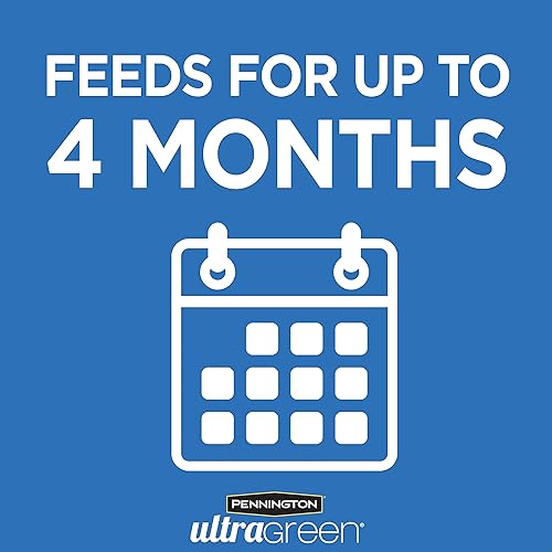 Miniatura 5 de Pennington 100540115 - Palmera ultra verde e Hibsicus 9-4-9 alimento para plantas, 5 libras, natural