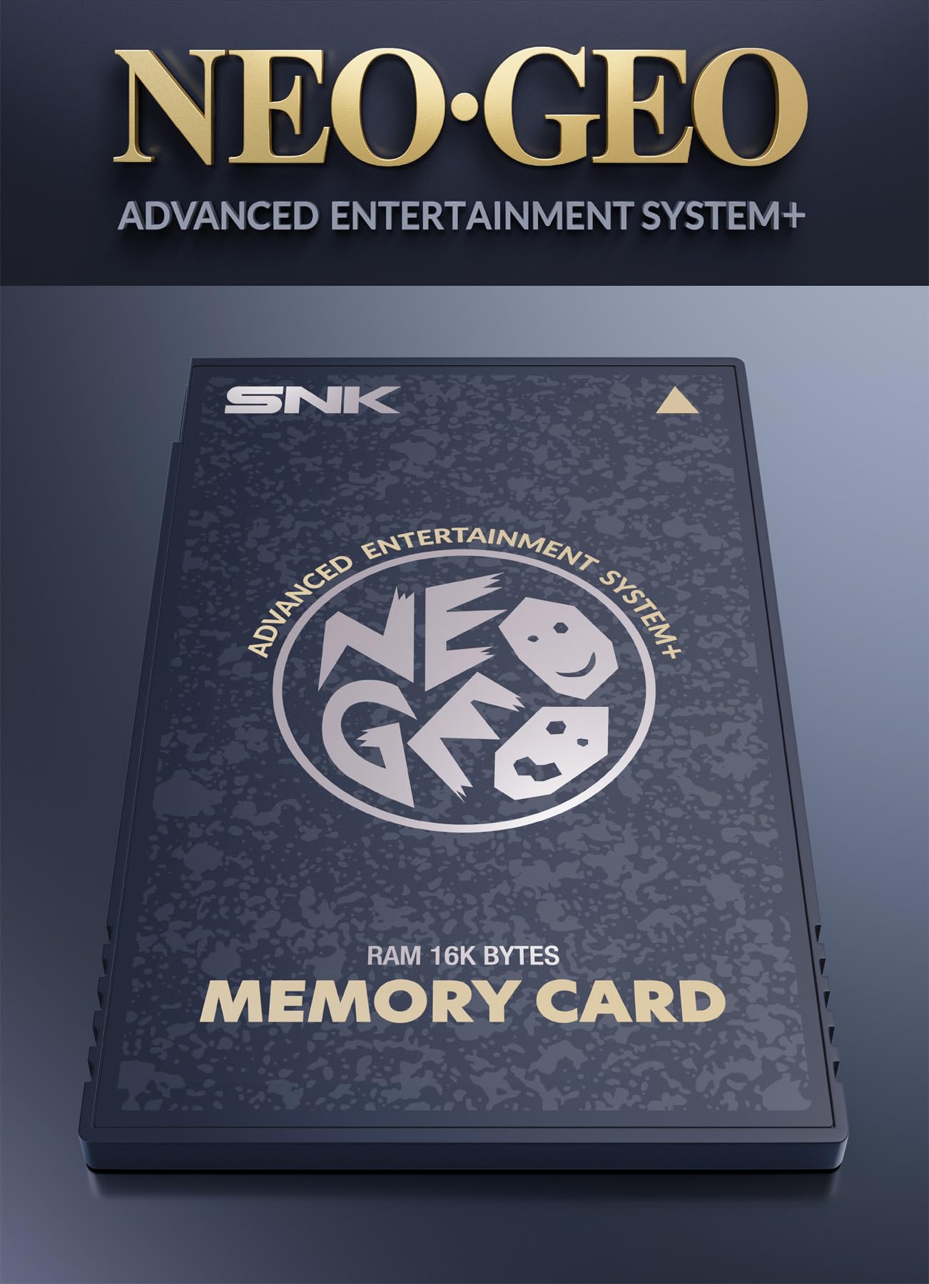 Amazon.com: NEOGEO AES+ Memory Card (Black) : Electronics
