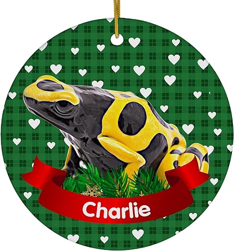 Diseño temático verde romero Bumblebee Dart Frog Nombre personalizado Adornos de Navidad 2023 Círculo Blanco Cerámica Dueño de Mascotas Regalos