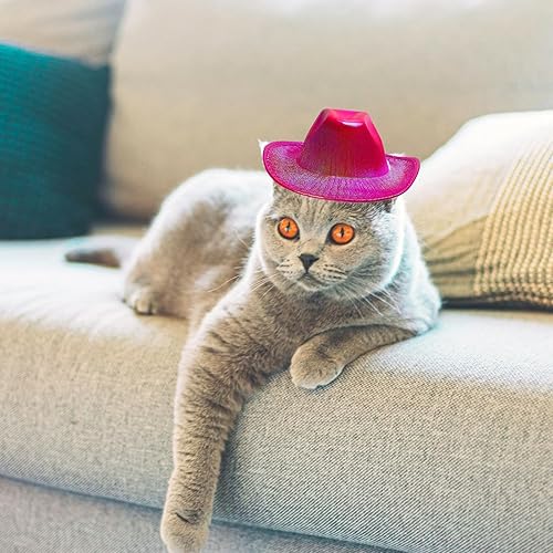 Miniatura 4 de Sombrero de vaquero para perro, gato, sombrero de vaquero, bandana para disfraz de vaquero del oeste, accesorios para mascotas, sombreros de vaquero