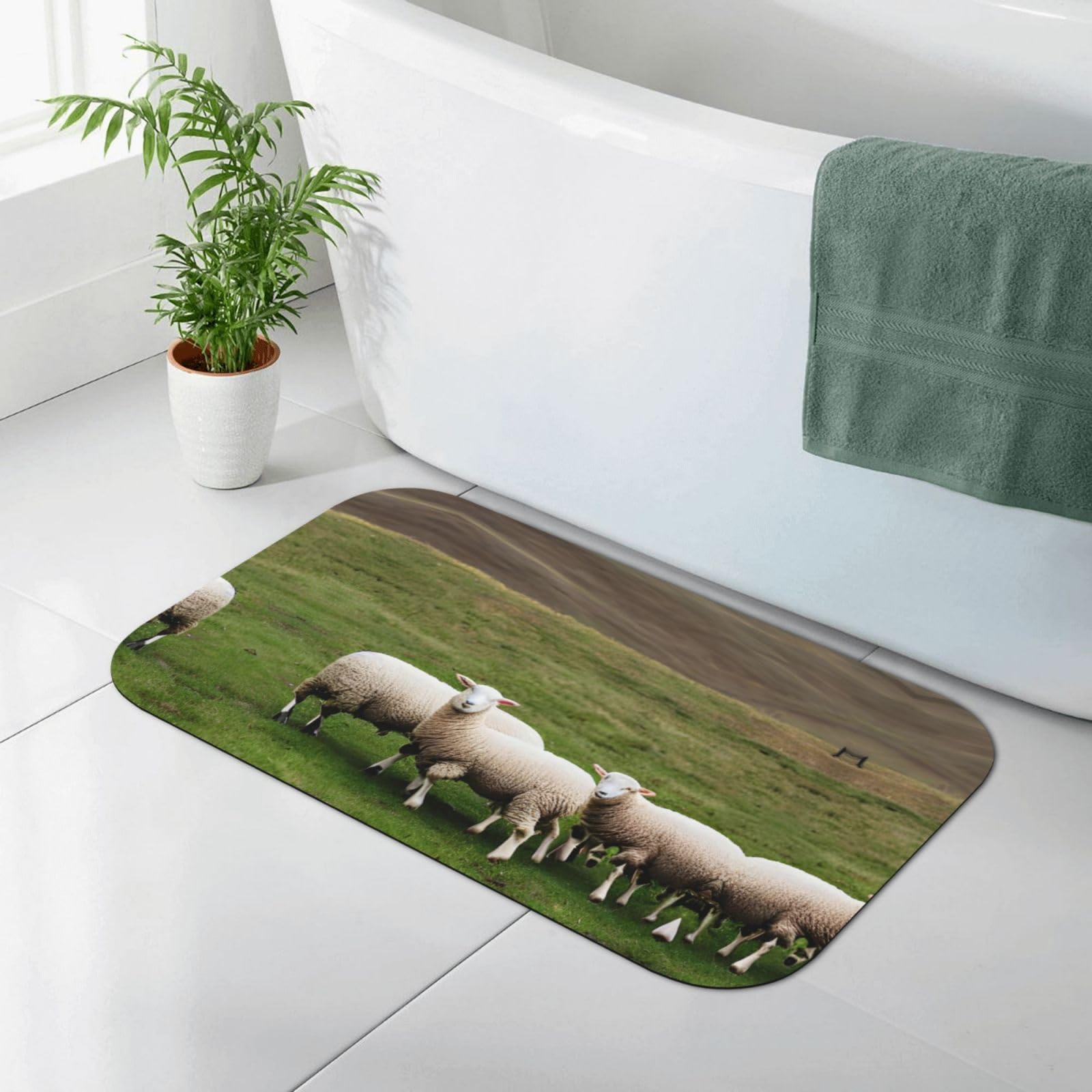Tapis de bain doux antidérapant à séchage rapide en diatomite