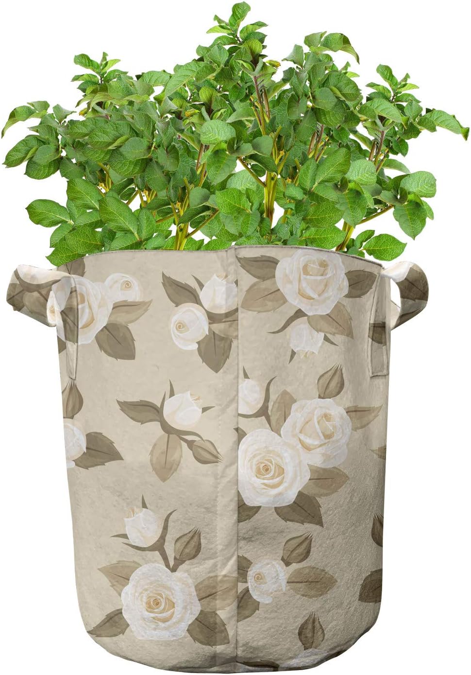 Lunarable Ivory and Beige Grow Bags 5-Pack, Feminine Roses Buds, Heavyduty Fabric Pots with Handles for Plants, 7 Gallon, Sepia Ivory and Beige