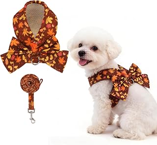 KOOLTAIL Fall Dog Harness and Leash Set for Small Medium Dogs Cats,Thanksgiving Cute Puppy Vest Harnesses with Bowtie, Step in No Pull Soft Mesh Padded Adjustable Harness for Extra-Samll Pet Boy Girl