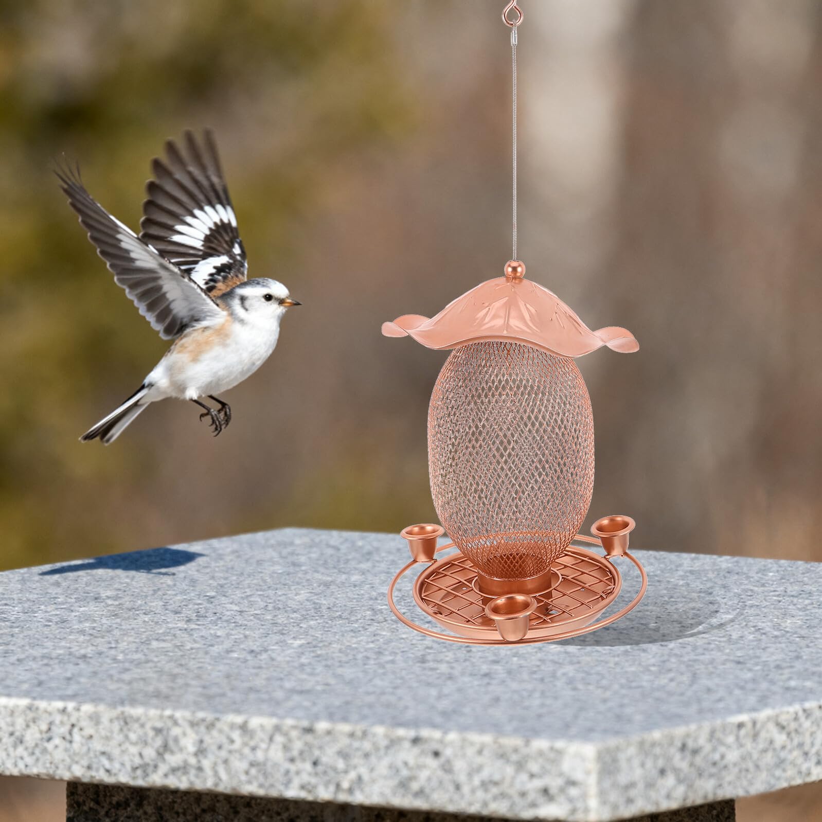 Hängendes Vogelfutterhaus aus Eisen mit Abflusslöchern Wasserspender und Futterstation für Balkon Garten und Terrasse