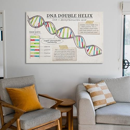 Miniatura 6 de Póster de biología con función celular de ADN, estructura celular, póster educativo para aula, póster artístico y arte de pared, decoración moderna