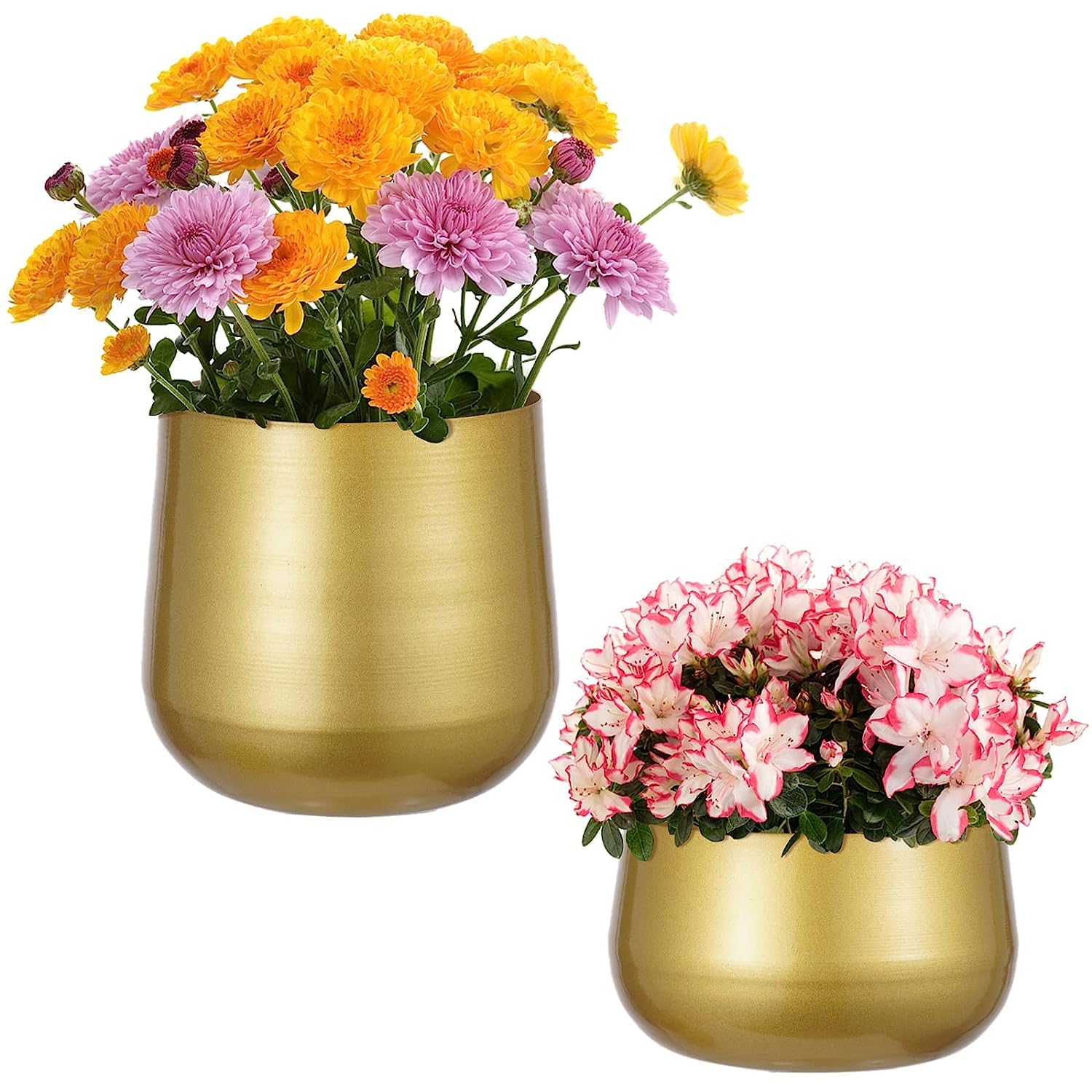 See full amazon price history chart for INSHREYS Set 2 Flower Pot for Home Decoration Gold Metal Flowers Pots Brass-Toned Garden Planters, 7.1/6.3 Inch Indoor Round Succulent Containers, Pack 2 Cactus Plant Pots with Drainage Hole.… INSHREYS Set 2 Flower Pot for Home Decoration Gold Metal Flowers Pots Brass-Toned Garden Planters, 7.1/6.3 Inch Indoor Round Succulent Containers, Pack 2 Cactus Plant Pots with Drainage Hole.… (B0BNFXKJ1N) Amazon Price History, Amazon Price Tracker