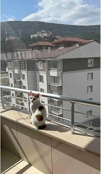 Balkon Filesi, Kedi Filesi, Kuş Filesi, 2,20 x 3 Metre, Beyaz