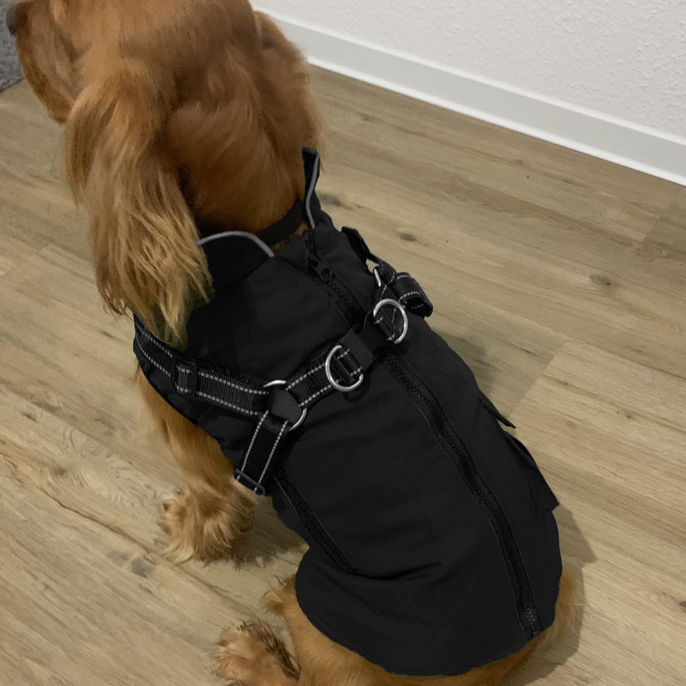 Giacca invernale per cani di taglia grande, impermeabile, con imbracatura e cerniera, facile da indossare