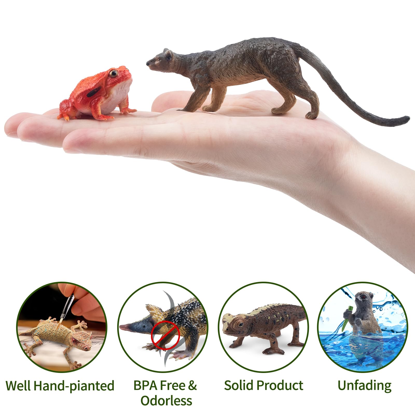 TOYMANY 12 sztuk figurek zwierząt leśnych, realistyczne zabawki Madagaskar, plastikowe zwierzęta, zwierzęta z dzikiej dżungli, figurki zwierząt z zoo, dekoracja tortu, prezent