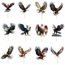 Sleyberoy 48pc Eagle Cupcakes Decor suit - with Black Flash Vulture - Animal Theme Birthday & Baby Shower Cake Toppers