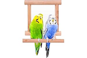 Bllesqelax Bird Parakeet Interactive Toy Kit for Small Birds