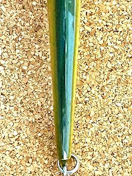 Amazon.co.jp: WOODBAIT ウッドベイト ハンドメイドミノー